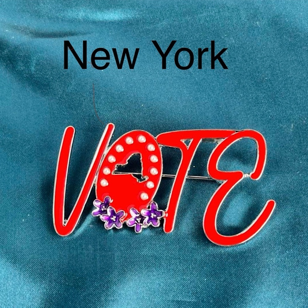 Delta Sigma Theta State VOTE Pins for the Eastern Region